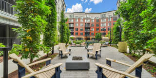 Piper Piper Gallery 15