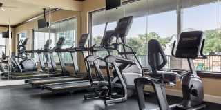 West Oaks West Oaks Gallery 16