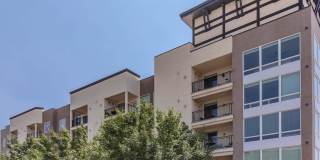 Seasons at Library Square Gallery 17