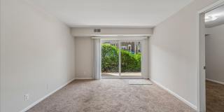 Spacious Ground Floor Condo in Silver Spring Gallery 3