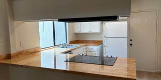 Colusa Ave Gallery 3