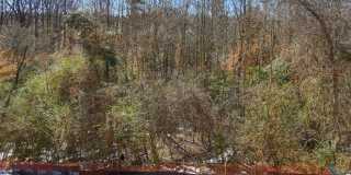 4BR Home in The Pines at Paw Creek – New Construction + Private Deck Gallery 26