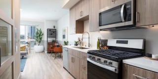 Modera San Diego Gallery 6