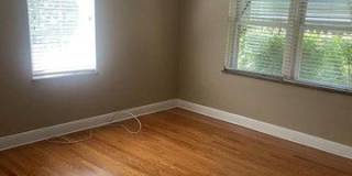 253 Turf Gallery 4