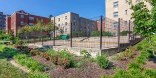 Sheffield Court Gallery 46