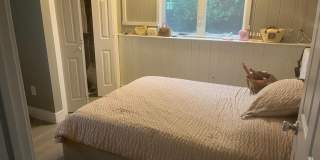 53 Arlene Drive Gallery 28