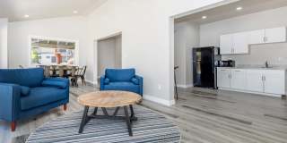 Standard Raintree Standard Raintree Gallery 18