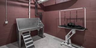 The Ensley - 55+ Active Adult Gallery 33