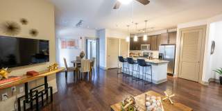 Junction 1504 Gallery 7