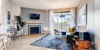 Alta Springs Gallery 11