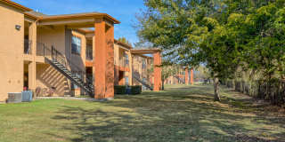 The Timbers at the Park Gallery 22