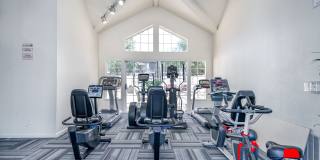 Portola Meadows Gallery 34