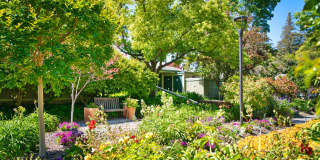 Riverwood Gallery 14