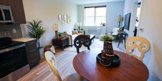 The Marquis Gallery 6