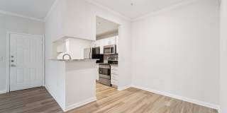 Derby at Steeplechase Gallery 36