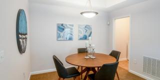 Cornerstone Cornerstone Gallery 16