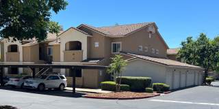 Great Condo in Roseville Gallery 1