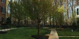 12838 ETHEL ROSE Way Gallery 17