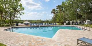 Sole at Citrus Park Gallery 21