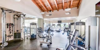 Greenspoint at Paradise Valley Gallery 10