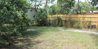 Welcome to St. Petersburg!!! Gallery 6