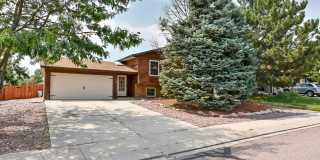 Huge yard with Pikes Peak Views! Gallery 1