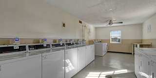 Golden Crest Gallery 15