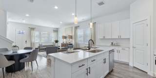 Cadia Sherman Gallery 4