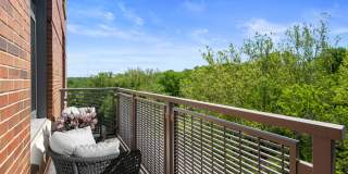 The Lindley Gallery 12