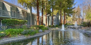 Wood Creek Gallery 2