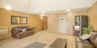 Rocky Meadows Gallery 13