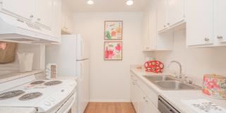 McComber Creek Gallery 31