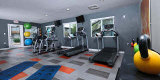 Fifteen 50 Gallery 14