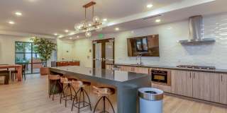 Vineyards Gallery 31