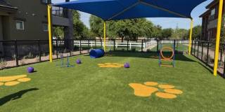 Everly at Morrison Ranch Gallery 54
