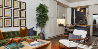 The Asher The Asher Gallery 10