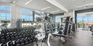 Avalon Lowry Gallery 40