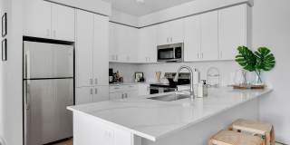 TILIAN POINT Gallery 1