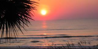 701 Beach Avenue Gallery 1