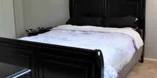 10780 GREEN MOUNTAIN Circle Gallery 13