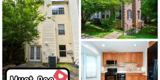 16853 CAPON TREE Lane Gallery 1