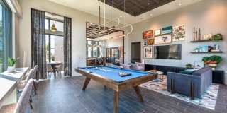 Aster Aster Gallery 15