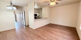 1141 S Tottenham Court Gallery 7