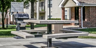Tiburon View Gallery 22