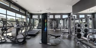 The Saint Mary The Saint Mary Gallery 30