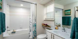 Evergreen Commons Gallery 18