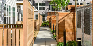 The Pioneer Gallery 56