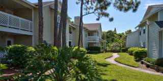 Tampa Woods Apartments Gallery 28