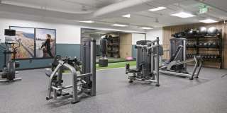 Novi at Queen Anne Gallery 33