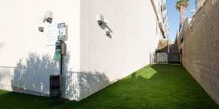 Belle on Bev Belle on Bev Gallery 68